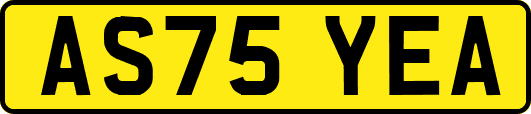 AS75YEA