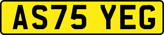 AS75YEG