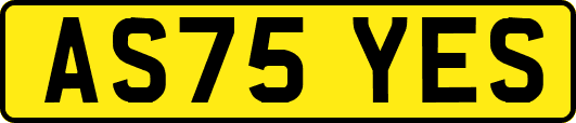 AS75YES