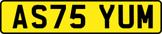 AS75YUM