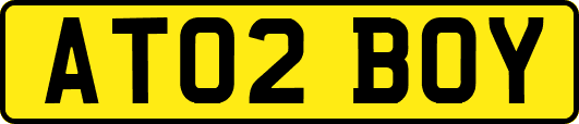 AT02BOY