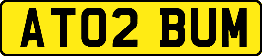 AT02BUM