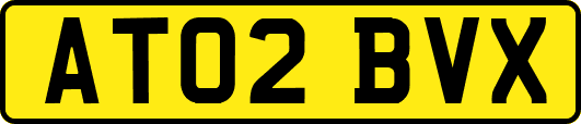 AT02BVX