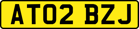 AT02BZJ