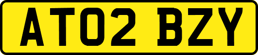 AT02BZY