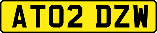 AT02DZW