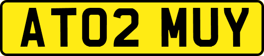 AT02MUY