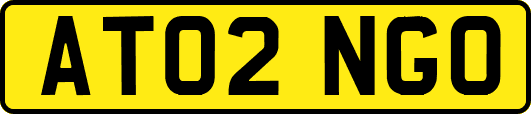 AT02NGO