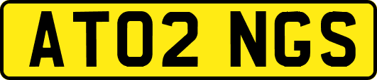 AT02NGS