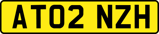 AT02NZH