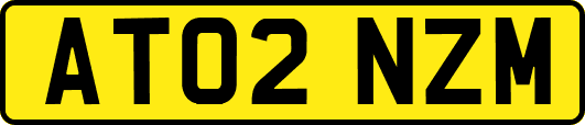 AT02NZM