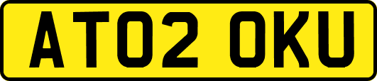 AT02OKU
