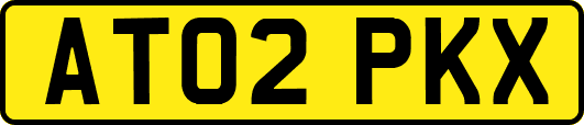 AT02PKX