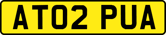 AT02PUA