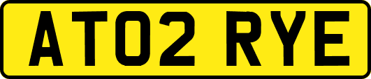 AT02RYE