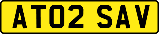 AT02SAV