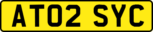 AT02SYC
