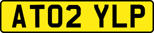 AT02YLP
