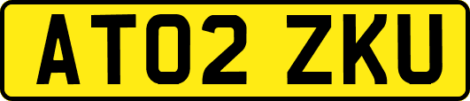 AT02ZKU
