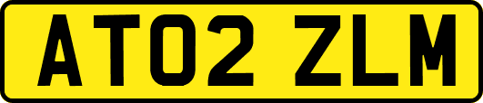 AT02ZLM