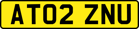 AT02ZNU