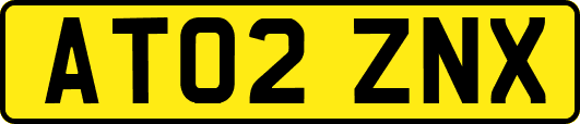 AT02ZNX