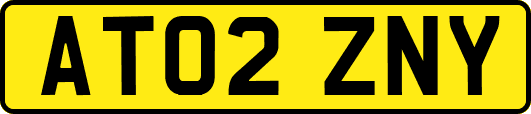 AT02ZNY