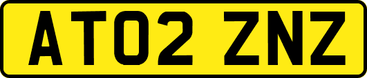 AT02ZNZ