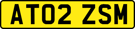 AT02ZSM