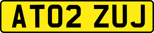 AT02ZUJ