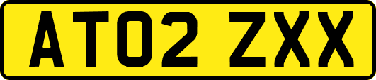 AT02ZXX