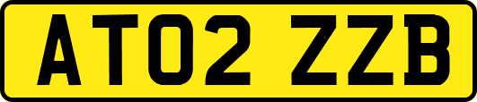 AT02ZZB