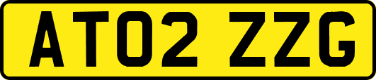 AT02ZZG