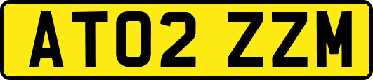 AT02ZZM