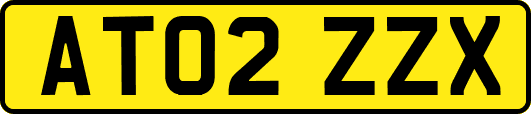 AT02ZZX