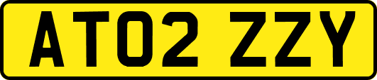 AT02ZZY