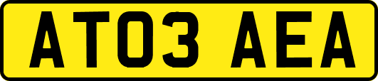 AT03AEA