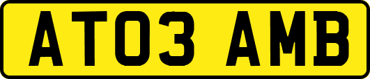 AT03AMB