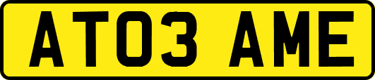 AT03AME