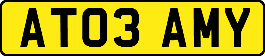 AT03AMY