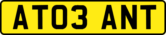 AT03ANT