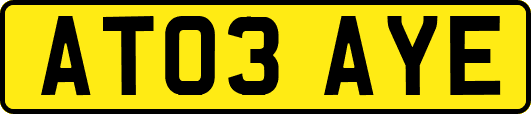 AT03AYE