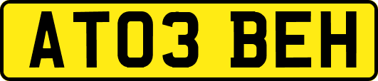 AT03BEH