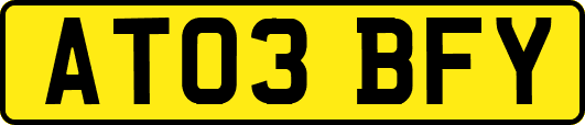 AT03BFY