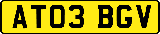 AT03BGV