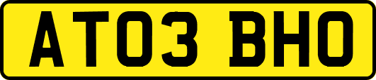 AT03BHO