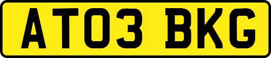 AT03BKG