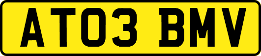 AT03BMV