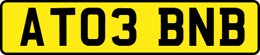 AT03BNB