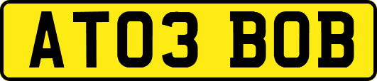 AT03BOB